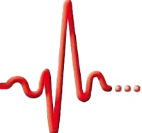 heartbeat